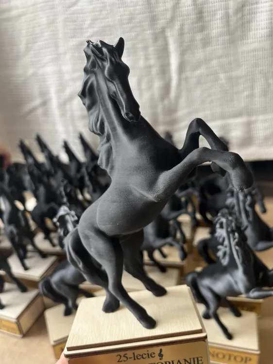 konik 1.jpg