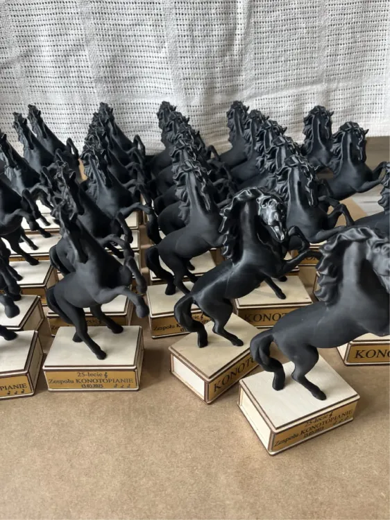 konik2.jpg