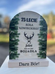 Statuetka drewno plus pleksi dowolny projekt 